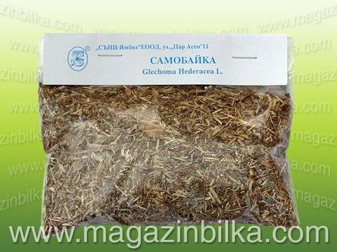 Самобайка (самобайче) – билката-чудо