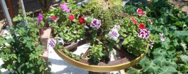 Цветарник от колело за каруца