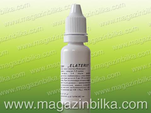 Морска краставица – тинктура