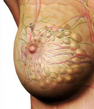 Как да съхраним кърмата и какво да правим с препълнените гърди?