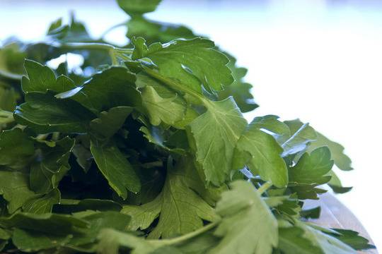 Лечение с магданоз при редица болести