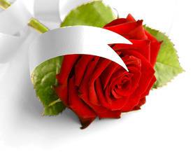 БЕЗВРЕМИЕ – Таня Матеева – Поезия за живота – Поезия – Сайт за поезия!