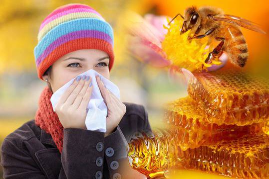 Храни за силен имунитет