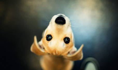 Ако можете да… (4 миниурока за живота)