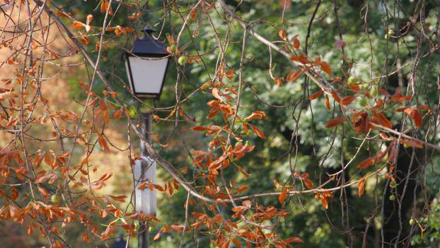 9 неща, които не знаехте за есента