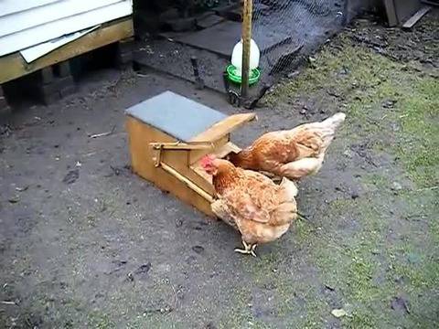 Супер Оригинално! Подвижна хранилка за кокошки