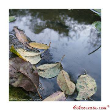 Христо Стефанов (ico10) – Пристан (През октомври…) фото