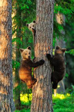 Здравей: 10 впечатляващи снимки на national geographic