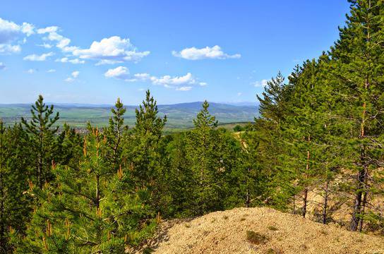 Блогът на Николай Терзийски