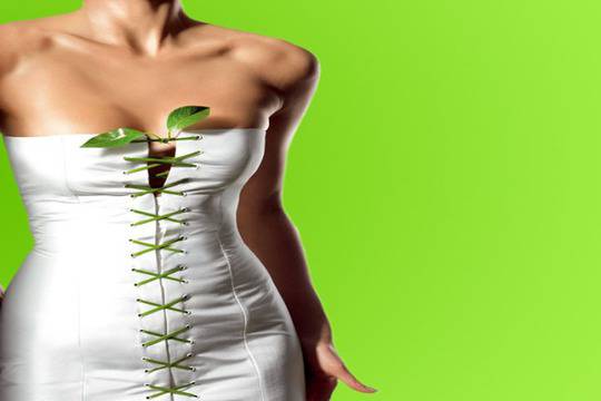 Детоксикатор