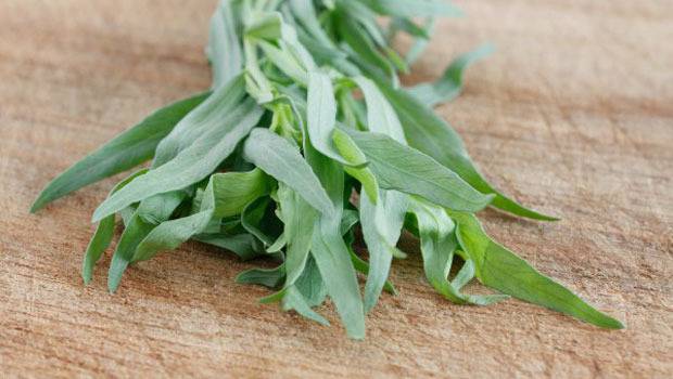 Как да готвим с естрагон