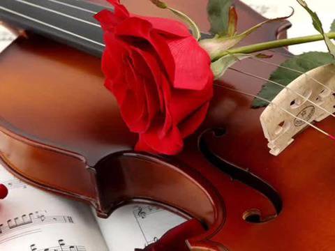 Ухание на рози и струни на китара