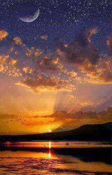 Хана Аренд е философка за света и живота на Земята