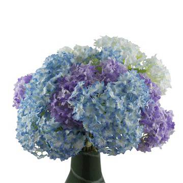 Честит имен ден на Петко, Пенка, Петра