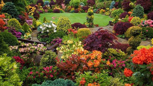 Озеленяване с цъфтящи храсти