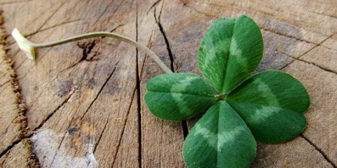 Предметите, които гонят късмета от нас