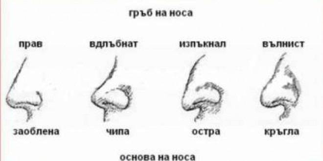 Формата на носа разкрива истинската ни същност