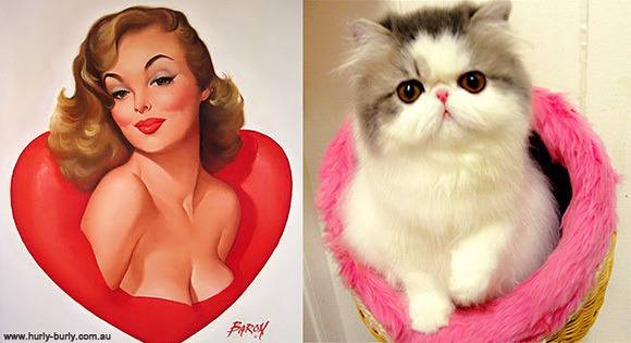30 котета, които изглеждат като секси pin-up момичета