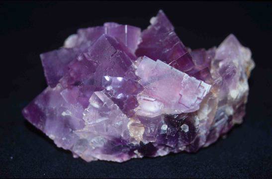 ФЕНОМЕНАЛНОТО СЕМЕЙСТВО КРИСТАЛИ