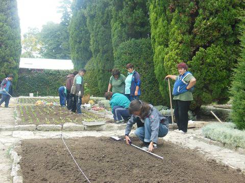 През пролет 2015г. нови и интересни видове растения в Ботаническа градина-Балчик