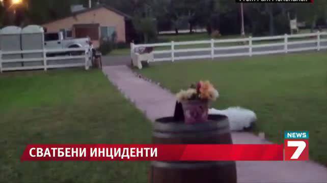 Топ 5 на сватбените инциденти