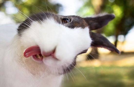 Забавни картинки