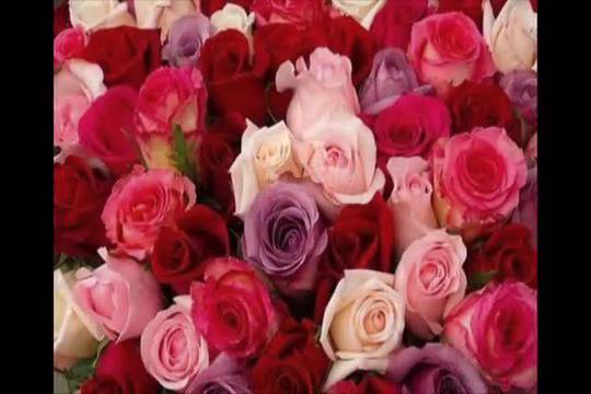 Честит Имен Ден на всички които празнуват