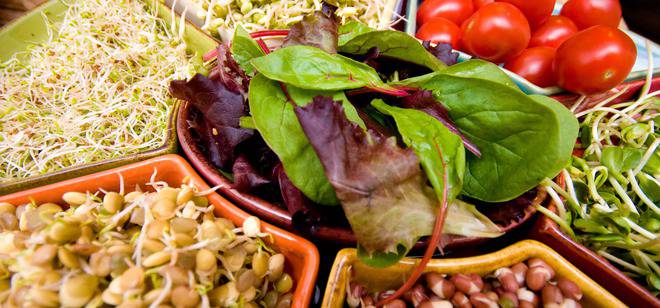 Ензимите и защо са ни нужни те?