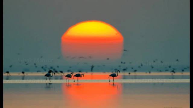 Романтика на брега на морето… …