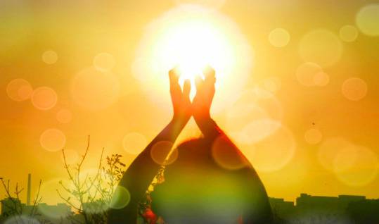 Важни витамини и минерали за веганите