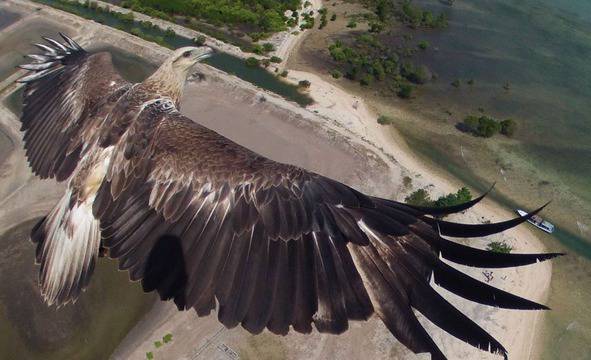 Най-красивите снимки, направени от дрони (галерия)