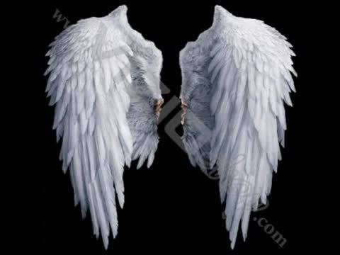 Искам да Съм Птица – Sisi