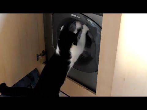 Top 10 Cute And Funny Animals