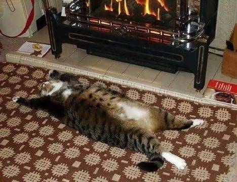 Забавни картинки