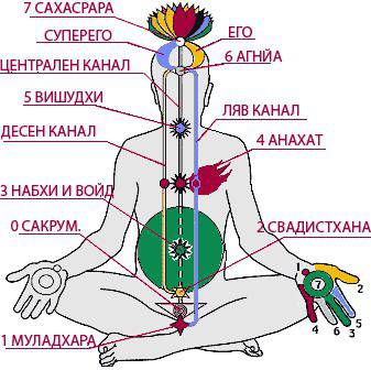 Ангелска Терапия и Медитация: Нашата енергийна система