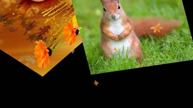 КАТЕРИЧКА…