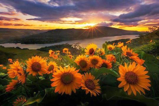 За един по-добър и по-интересен живот