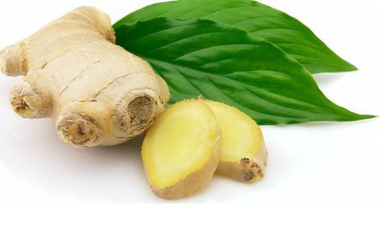 Полезните свойства на джинджифила