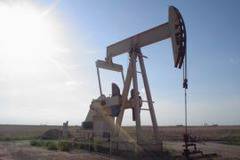 ОАЕ: Няма да намалим предлагането, дори нефтът да падне до 40 долара