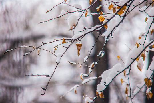 Кога да очакваме сняг