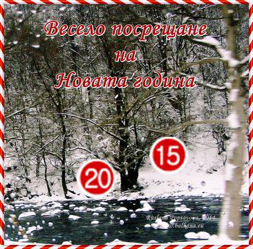 Весело посрещане на Новата година