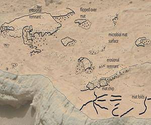 Кюриосити откри вероятност за живот на Марс!