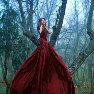 Официални Рокли: Приказни Официални Рокли-Рокли за Принцеси