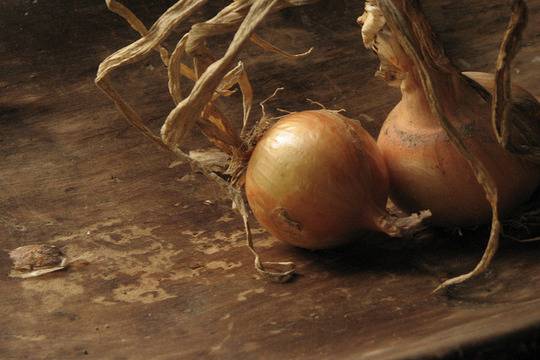 Люспи от лук помагат при бронхит, кожни заболявания и разширени вени