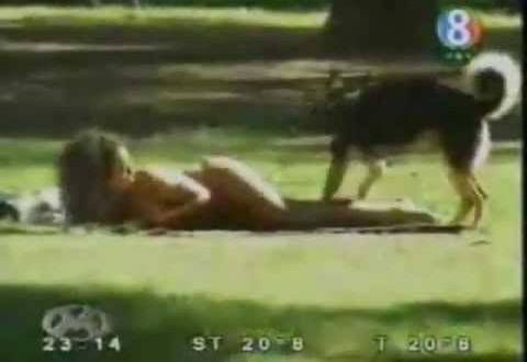 Какъвто стопанина, такова и кучето! Само си представете къв мръсник е..