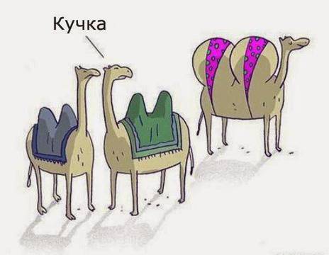 Смешни снимки и картинки, забавни демотиватори