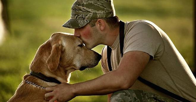 „За лечебната сила на кучето“ – най-добрата холандска реклама на годината