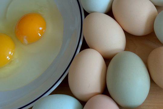 С какво яйцата са полезни за здравето ни?