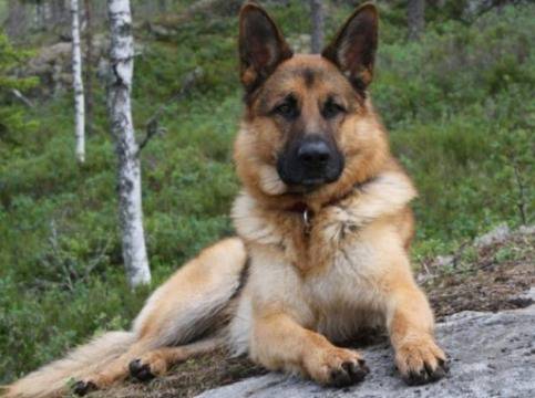 Актуални новини от Перник в Глашатай