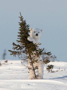Окото гледа Нета и предава тук! :)